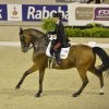 Le nostre medaglie - Reem Acra FEI World Cup Final Dressage